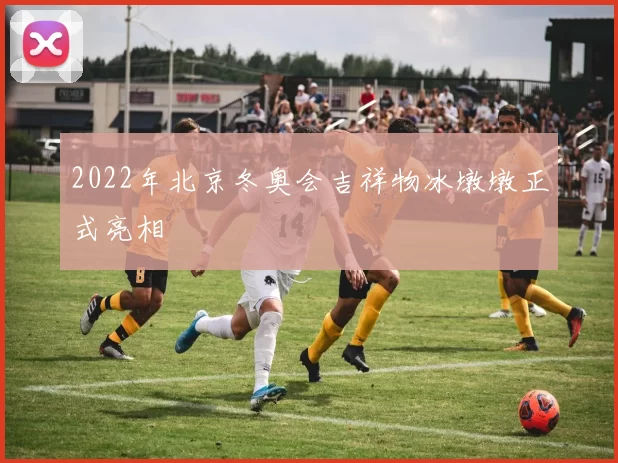 2022年北京冬奥会吉祥物冰墩墩正式亮相