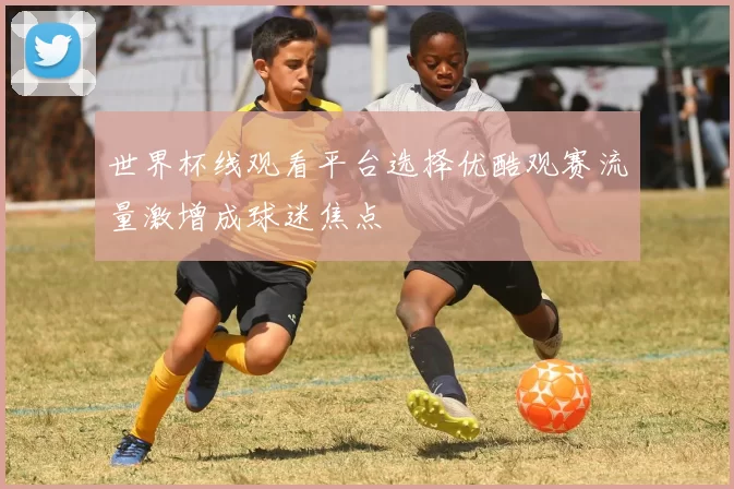 世界杯线观看平台选择优酷观赛流量激增成球迷焦点