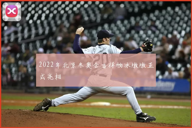 2022年北京冬奥会吉祥物冰墩墩正式亮相